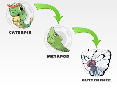 evolucion-de-caterpie-todos-los-trucos-diferentes-evoluciones